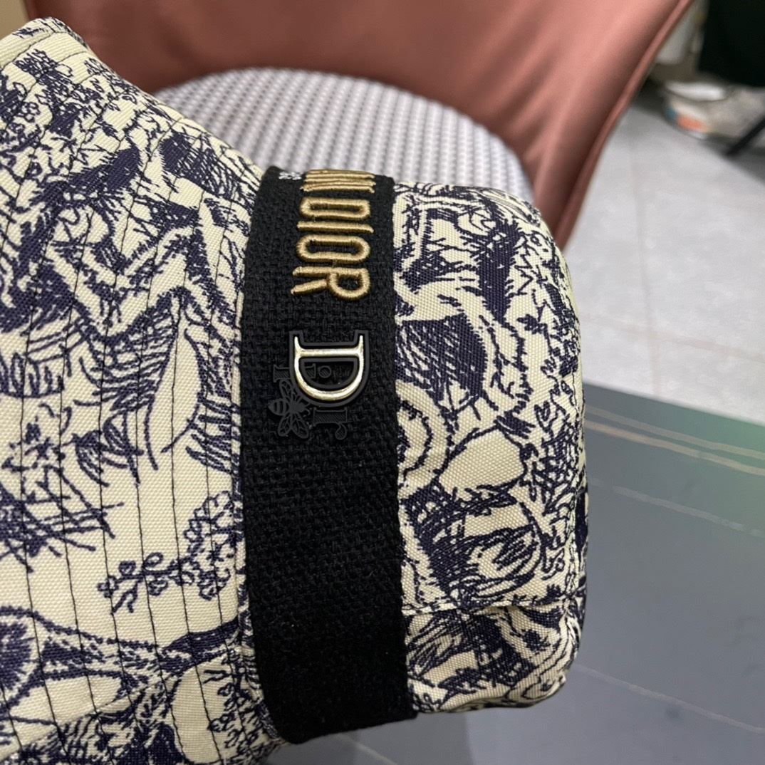 Christian Dior Caps